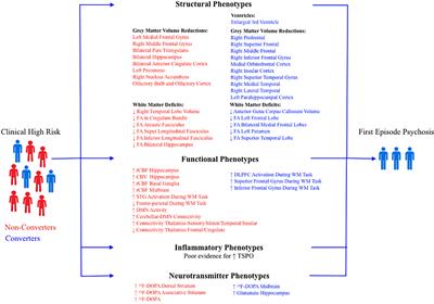 Selective Review of Neuroimaging Findings in Youth at Clinical High Risk for Psychosis: On the Path to Biomarkers for Conversion